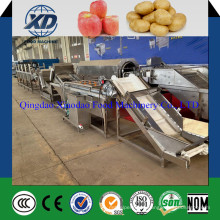 High Quality Potato and Apple Washing Sorting Line